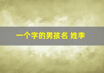 一个字的男孩名 姓李